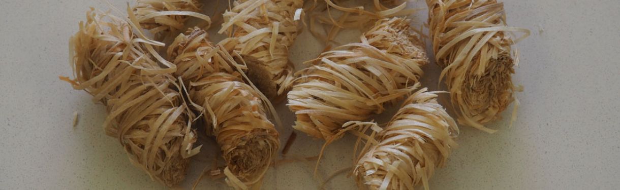 Kaminofen Bio-Anzünder
